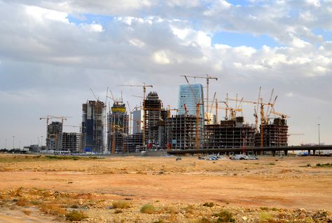 Dar Al-Arabia Wins 19,500 Acres in Public Land Tender in Behira