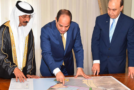 Sisi Approves Joint Company Between DP World, SCZone Authority