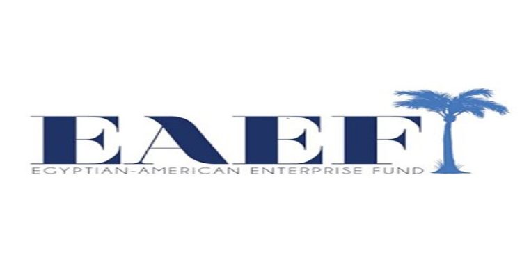 Egyptian-American Enterprise Fund to Inject USD 3 mn in Dawi Clinics