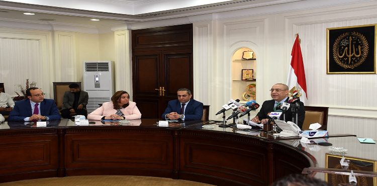 Gov’t Targets Doubling Egypt’s Habitable Areas: Minister