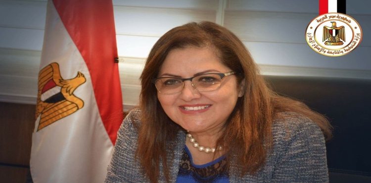 Gov’t Builds Almost EGP 96 bn Energy Projects in 2 Yrs: Minister