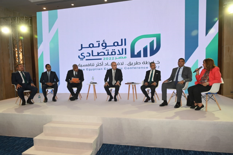 Egyptian Developers Praise Successful Partnerships with State