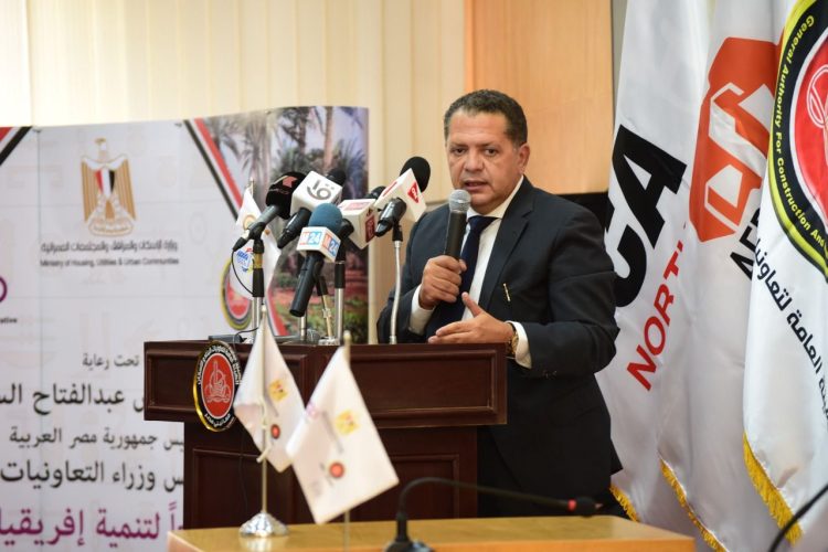 Egypt to Lead Africa Ministerial Cooperative Council for 3 Years