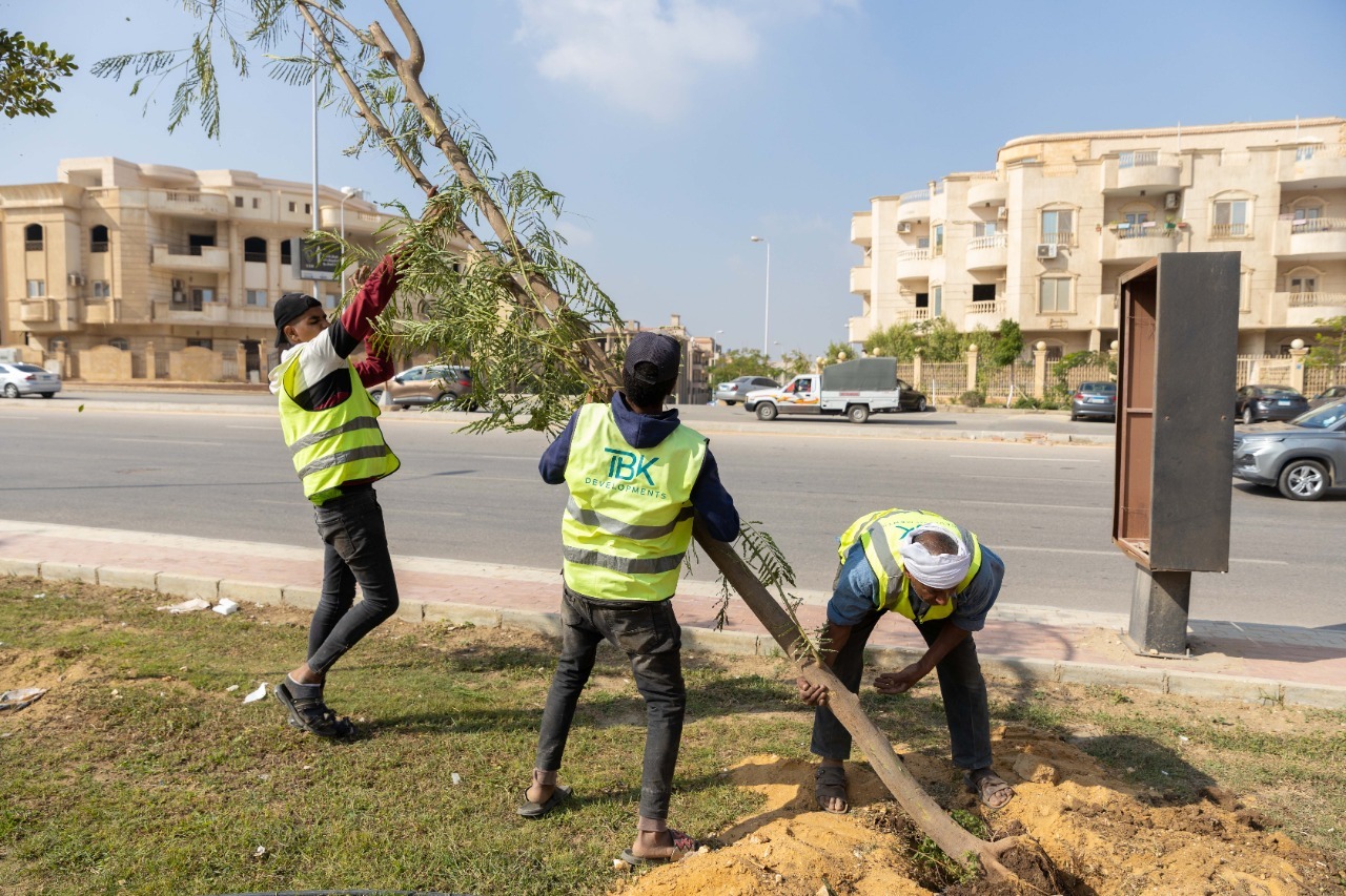 TBK Developments Plants 400 Trees in New Cairo INVESTGATE