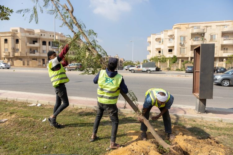 «TBK للتطوير» تتولى تطوير أعمال التشجير بـ 4 محاور رئيسية بالتجمع الخامس