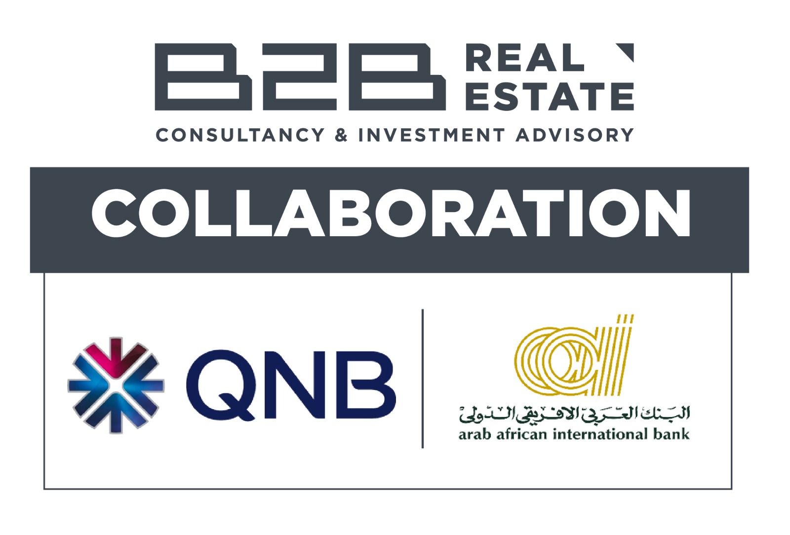 B2B Real Estate Unveils Ultimate Financial Solutions Program INVESTGATE