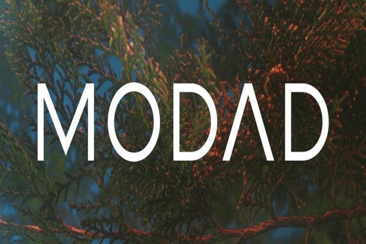 مجموعة «MODAD» تخصص 5% من صافي أرباحها للمسئولية المجتمعية في قطاعي الصحة والتعليم