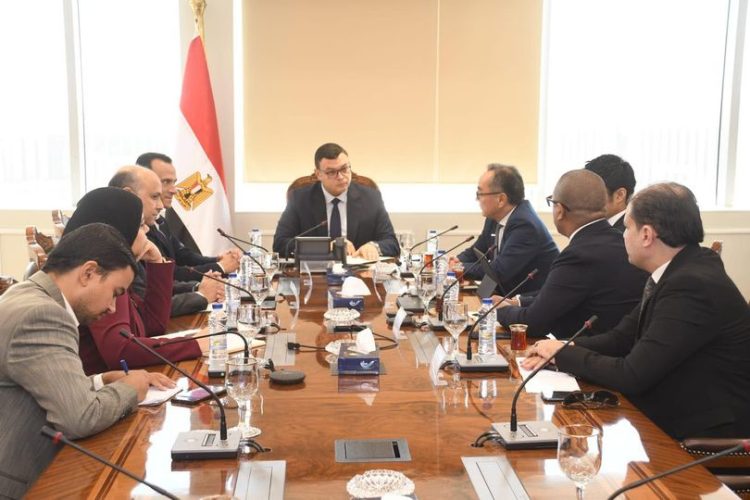 Egypt, Japan Explore Cooperative Strategies in Real Estate Development, Localization of Modern Technologies