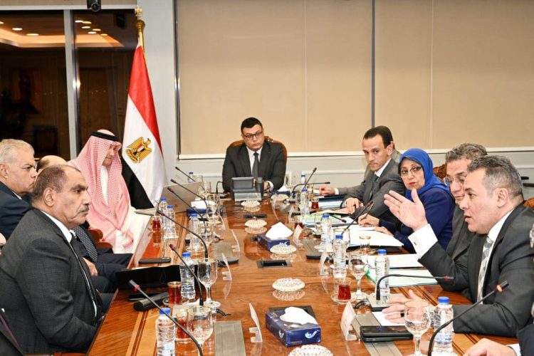 housing-minister-saudi-investor-explore-cooperation-review-progress-on-real-estate-projects