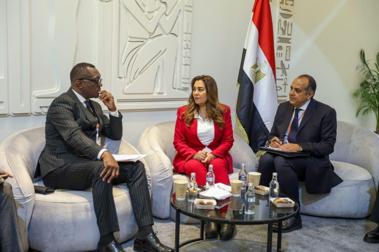 Egypt, Zambia Discuss Collaboration on Rural Development, Urban Growth