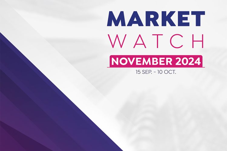 market-watch-report-november-2024