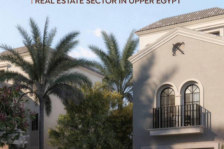 building-the-future-a-comprehensive-analysis-of-the-real-estate-sector-in-upper-egypt