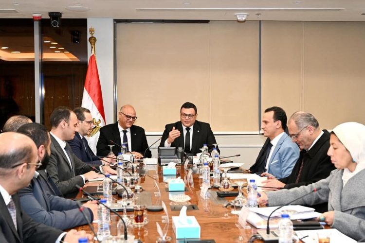 Housing Minister, Qalyubia Governor Review Collaborative Work Files