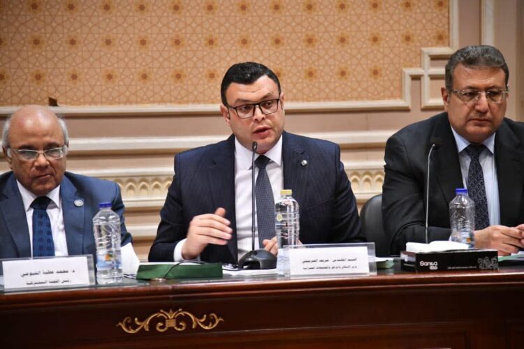 Housing Minister Participates in Joint Meeting of Housing, Local Development, and Constitutional Affairs Committees at the House of Representatives