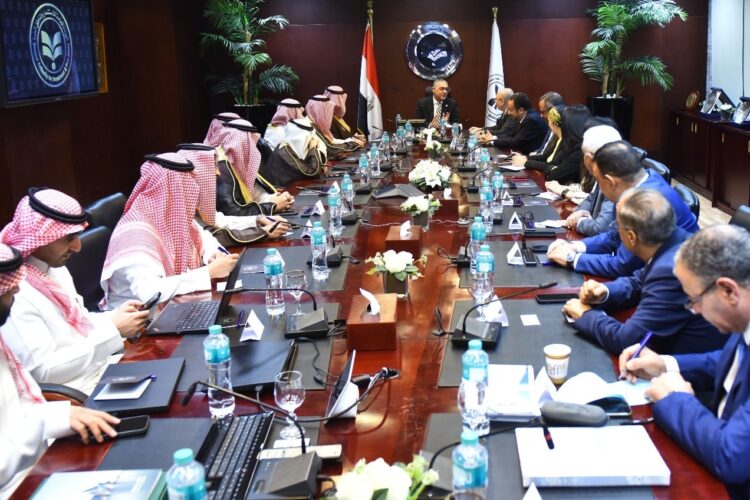 egypt-saudi-arabia-explore-construction-investment-windows