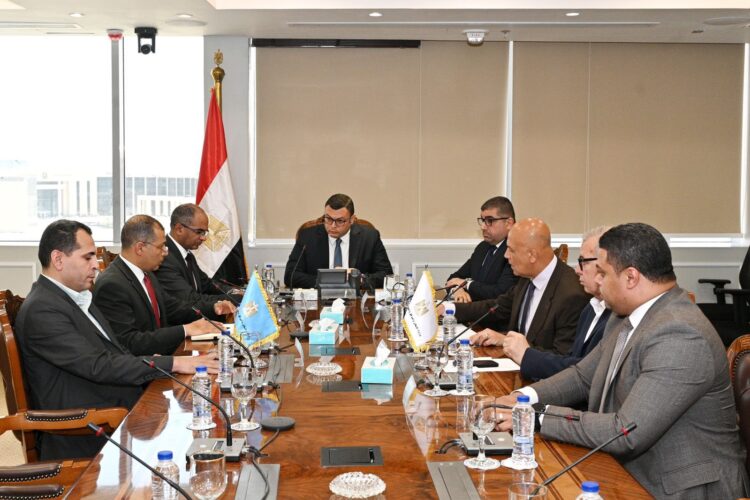 Housing Minister Reviews East Cairo Wastewater Plans Through 2030
