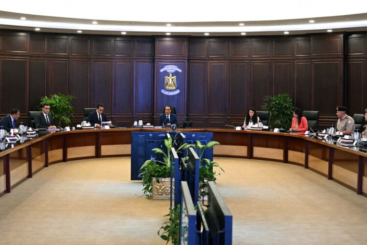 prime-minister-follows-up-on-progress-of-decent-life-presidential-initiative-projects