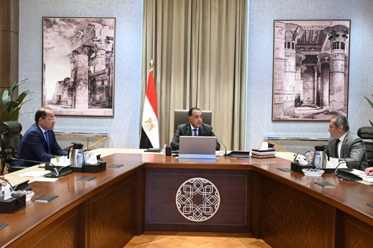 prime-minister-follows-up-on-administrative-capital-companys-projects-and-investments