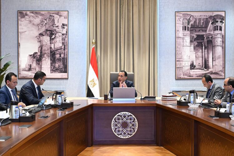 Egypt’s Prime Minister Reviews National Green Urban Development Strategy