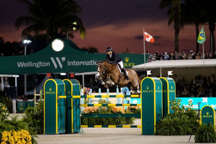 %d9%85%d8%af%d9%86-%d8%a7%d9%84%d9%82%d8%a7%d8%a8%d8%b6%d8%a9-%d8%aa%d8%b9%d9%84%d9%86-%d8%b9%d9%86-%d8%a7%d8%b3%d8%aa%d8%ab%d9%85%d8%a7%d8%b1-%d8%a7%d8%b3%d8%aa%d8%b1%d8%a7%d8%aa%d9%8a