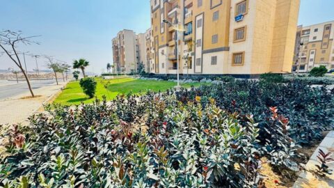 Housing for All Egyptians