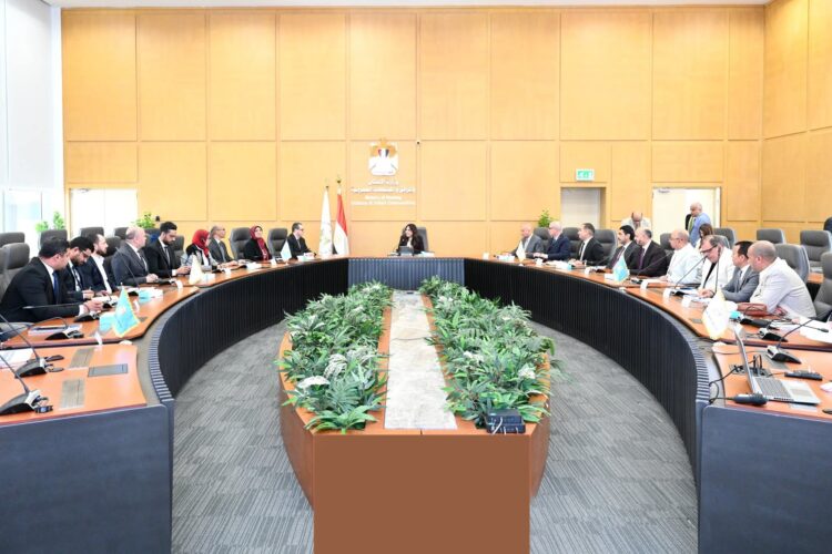 housing-minister-follows-up-on-updates-to-land-status-regularization-files-in-newly-added-areas-of-several-new-cities