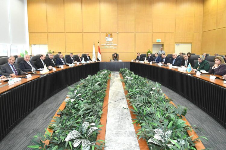 housing-minister-holds-expanded-meeting-to-review-progress-of-phase-one-projects-under-the-presidential-hayah-karima-initiative