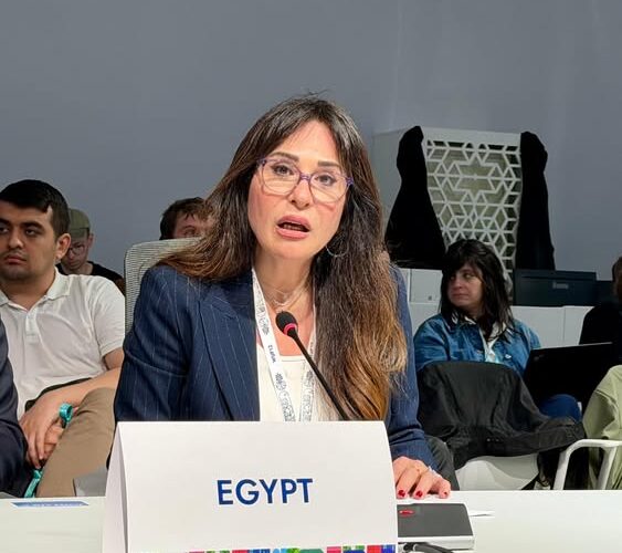 minister-of-housing-delivers-egypts-statement-at-the-ministerial-meeting-on-the-new-urban-agenda-within-the-activities-of-the-world-urban-forum-wuf