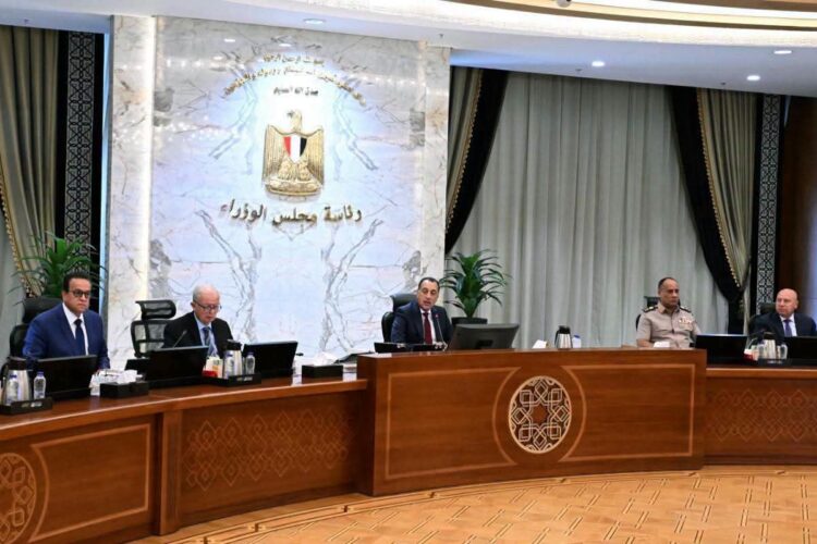 Cabinet Approves Partnership Between Urban Development Fund and DCUD to Develop 48 Feddans in Al-Mahalla Al-Kubra